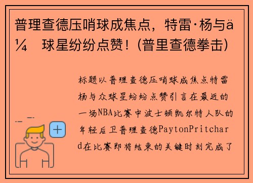 普理查德压哨球成焦点，特雷·杨与众球星纷纷点赞！(普里查德拳击)