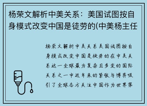 杨荣文解析中美关系：美国试图按自身模式改变中国是徒劳的(中美杨主任讲话视频)