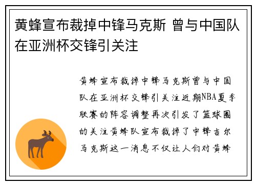 黄蜂宣布裁掉中锋马克斯 曾与中国队在亚洲杯交锋引关注