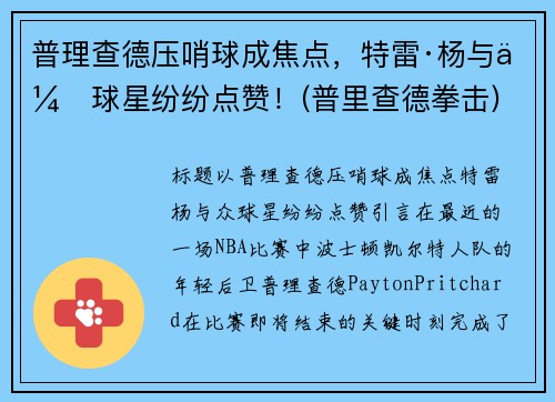 普理查德压哨球成焦点，特雷·杨与众球星纷纷点赞！(普里查德拳击)