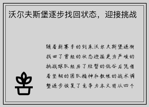 沃尔夫斯堡逐步找回状态，迎接挑战