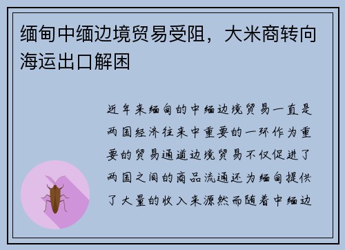 缅甸中缅边境贸易受阻，大米商转向海运出口解困